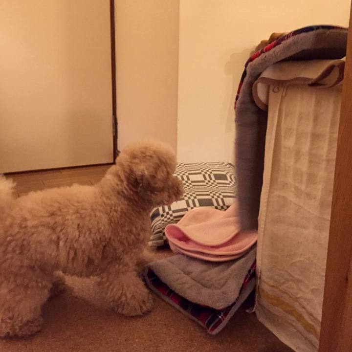 9a928ef6 a909 47ee 9e67 1d0afd3bc366