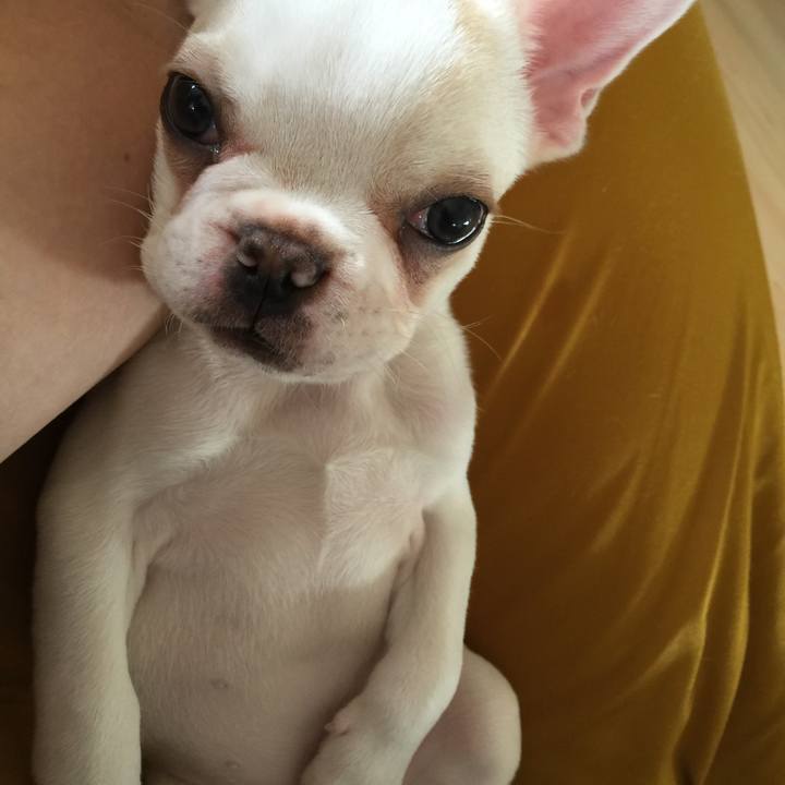 9a92b5b5 a8bc 45d9 a0b4 160e49d9dc80