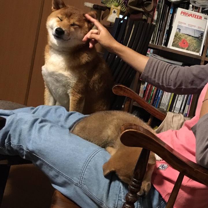 9a92ebf8 8f57 4b3a ae59 d490e8450951