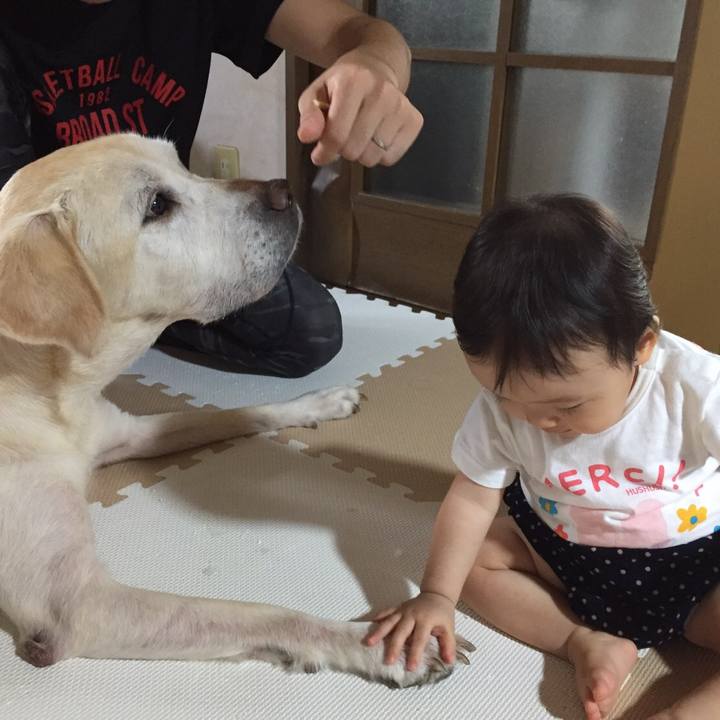 9a93090b a48c 47da 8957 7a281276259e