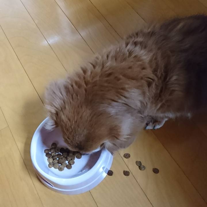 9a93640f 11d4 4bf2 b069 214137c8ddbe