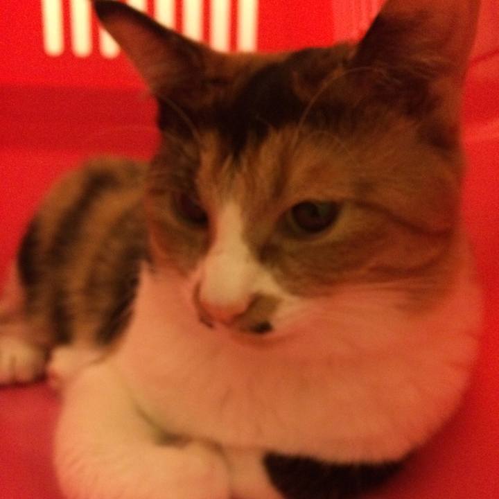 9a9392ab 8e56 4830 b14a 7998e92d7a27