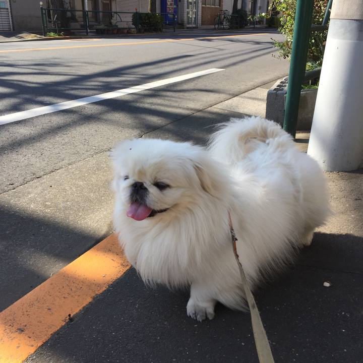 9a93bb5d bab3 476f bdf6 54c6c07678fb