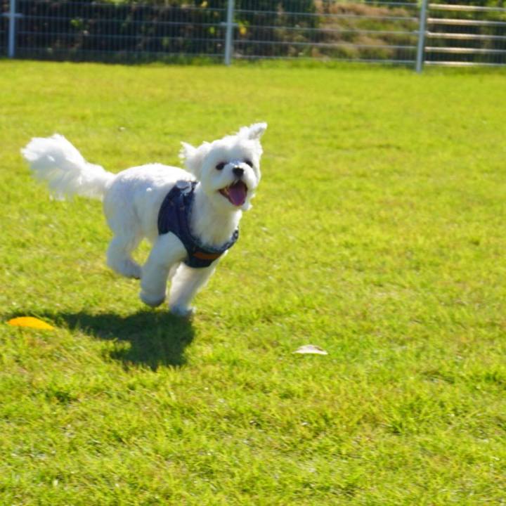 9a93dbad 1e98 41fa b031 1b1d8e1a88b3