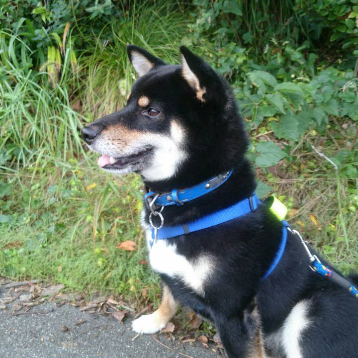 9a93e091 25fd 4bc9 9ef8 05b29ab795da