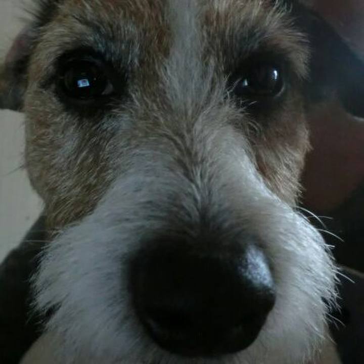 9a945113 5224 4bd2 9e25 1c9e831393b1