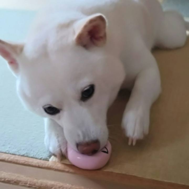 9a955392 a105 4579 92ec 54bfb01b9de0