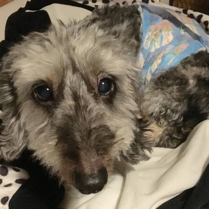 9a965c9f c79a 430e 8064 2e2945ffa1f8