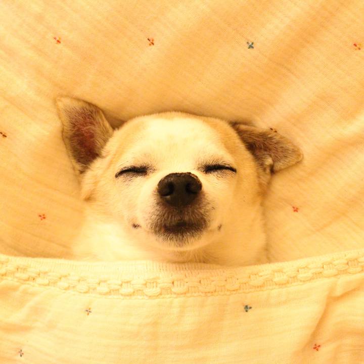 9a96abe2 7d97 4c7f bb1c 78ffc5a2ea6a