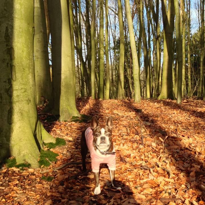 9a97015f c7f3 480e 9810 e3b44cd70e4e