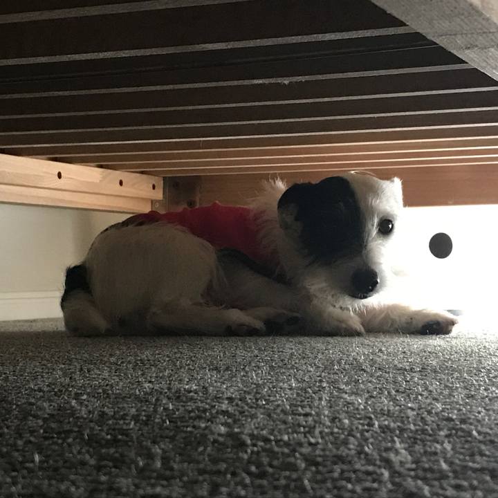 9a97de06 dcd4 4da1 839f bde7f6557da2