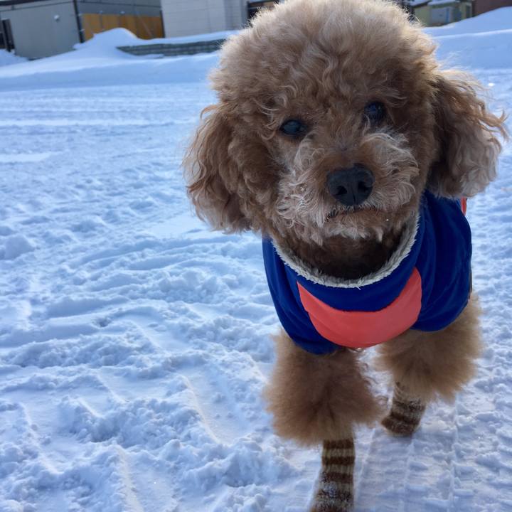 9a97e288 bd3a 47a8 a399 8380cad4aecc