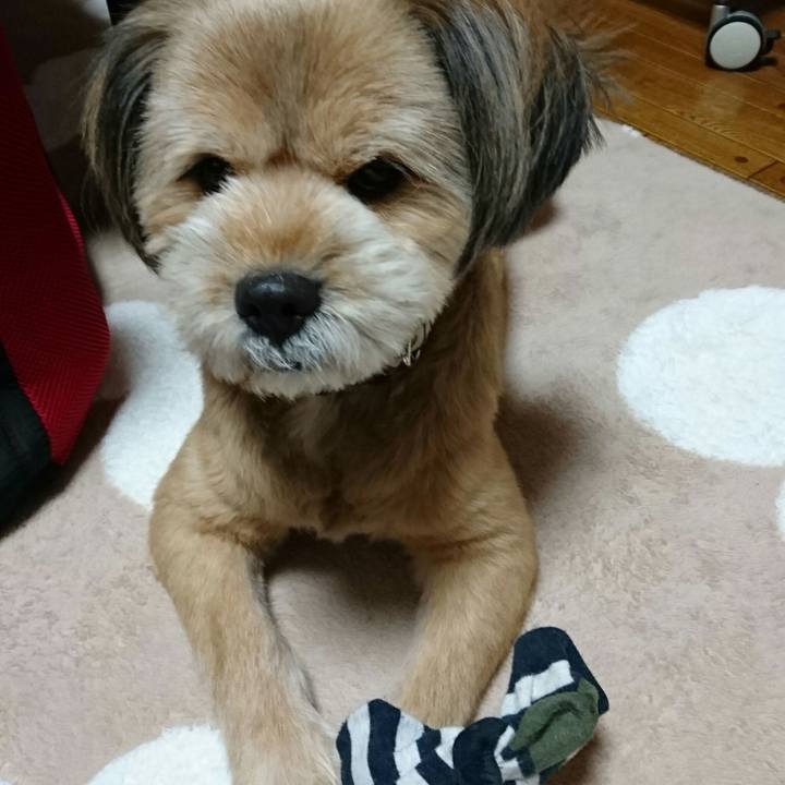 9a97e6f7 e4e1 440a bb79 b39ab4d5ea79