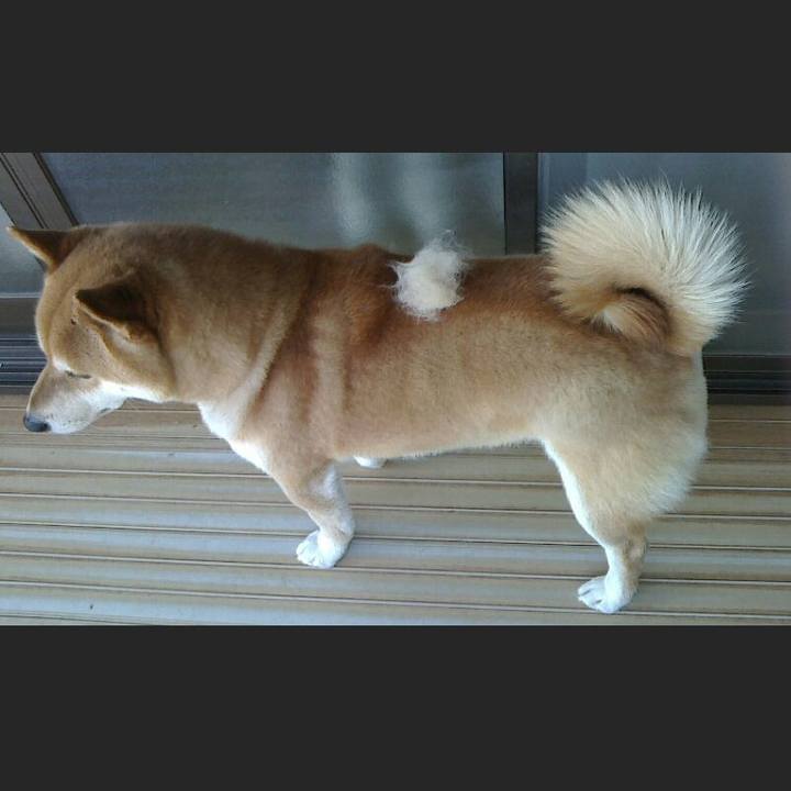 9a981548 cb67 4045 99aa 2350eb1d3c0e