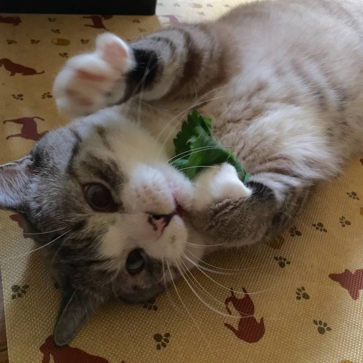 9a988d4a 1e2c 48b2 9fa8 759dc9d0694b