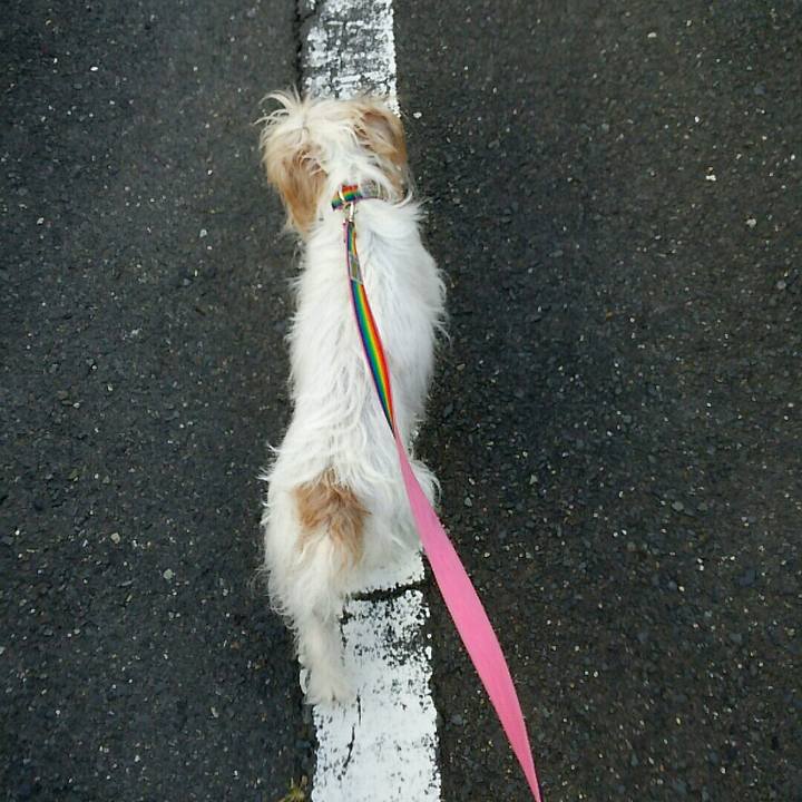 9a98e03a e666 4dd3 8873 781186038304