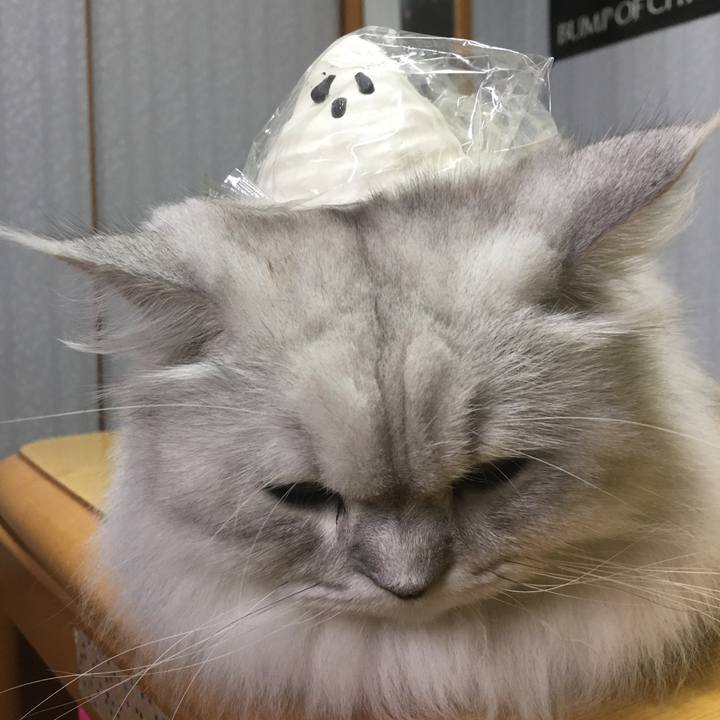 9a990e48 d192 4f46 b059 6368768e3bb0