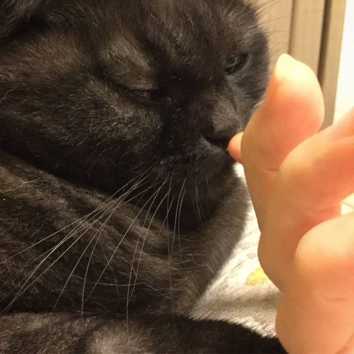 9a9949e3 dab9 4205 9594 823218af39ea