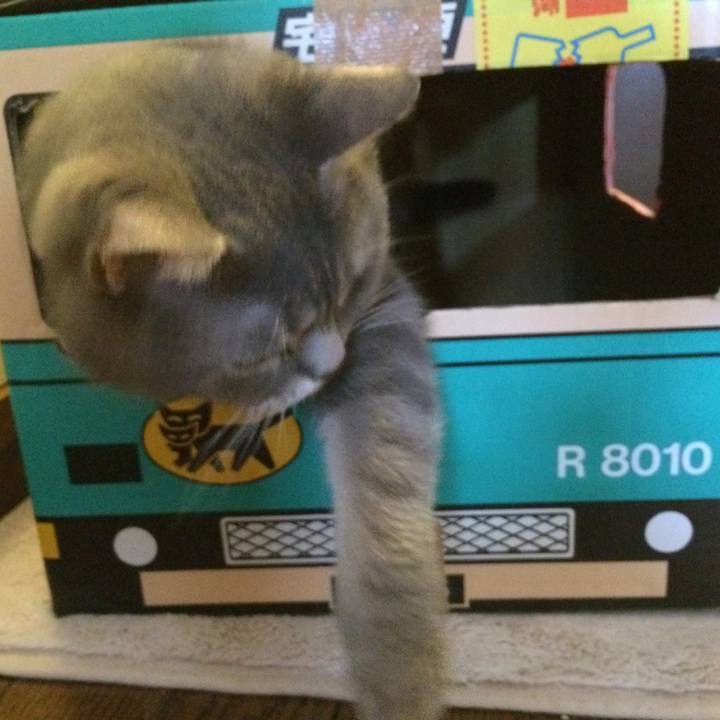 9a9ad802 9c93 4dd1 b05d 5ffbf52cc2e4