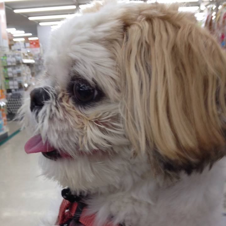 9a9b1612 95b4 4f0b 9584 15203f6b0bad