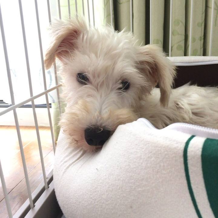 9a9b4fe8 9fb0 4b81 a8b2 0a261e80d118