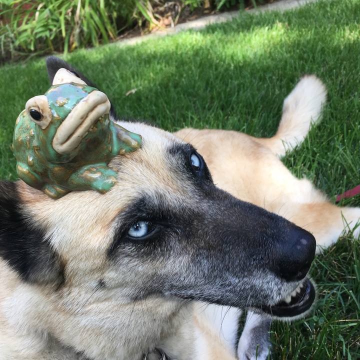 9a9be144 6573 4574 bb56 a3e9c931839f