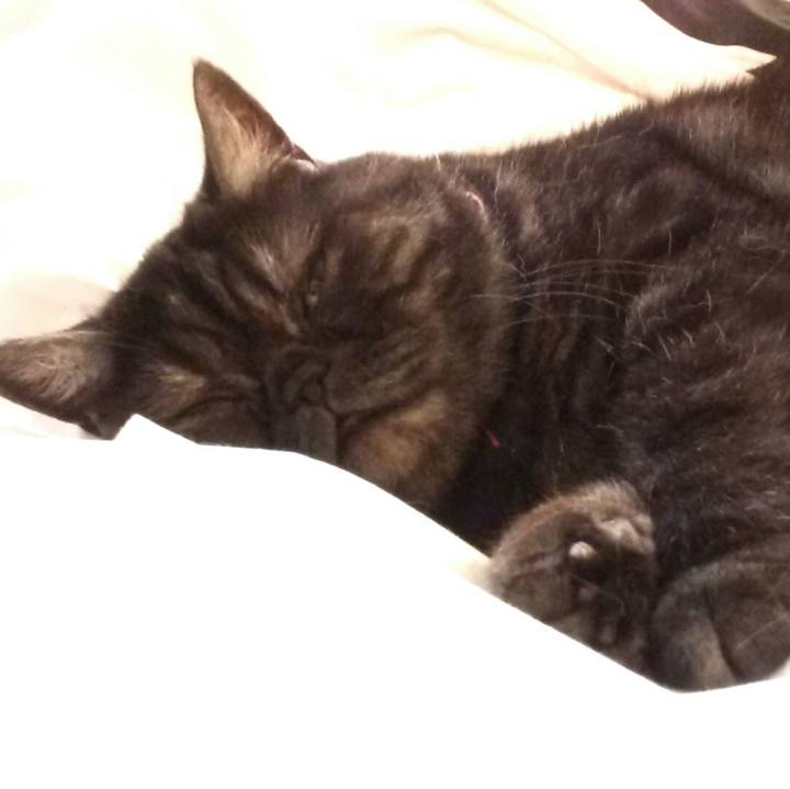 9a9c1ce0 a340 4b7d a6dc 62b9bab15fe6