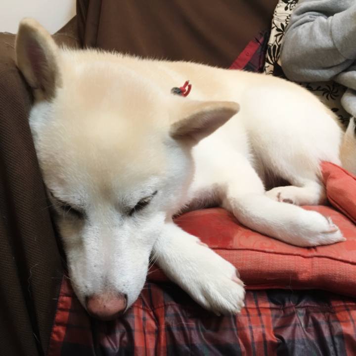 9a9c48d5 b84a 44c4 a780 fd484f71a5c2