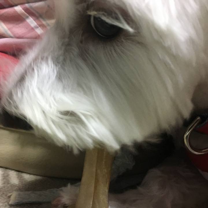 9a9cab7b c932 48c6 886c 334cc836e584