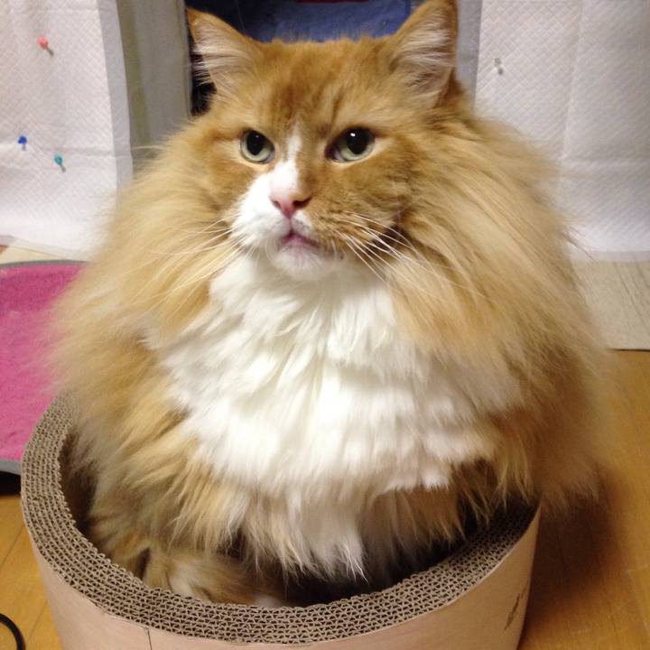 9a9cd957 2dd0 43c7 a332 d95dd419828a