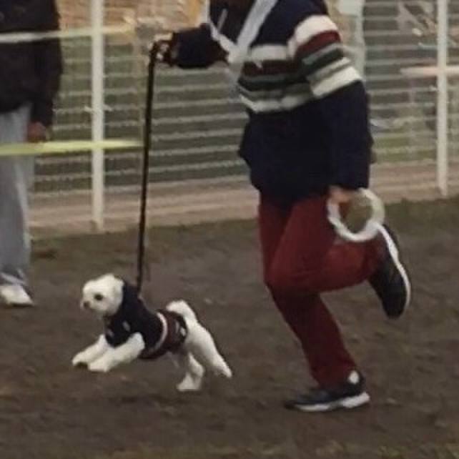 9a9d160c 13ab 4f0d 96e5 f0a4b558ebb2