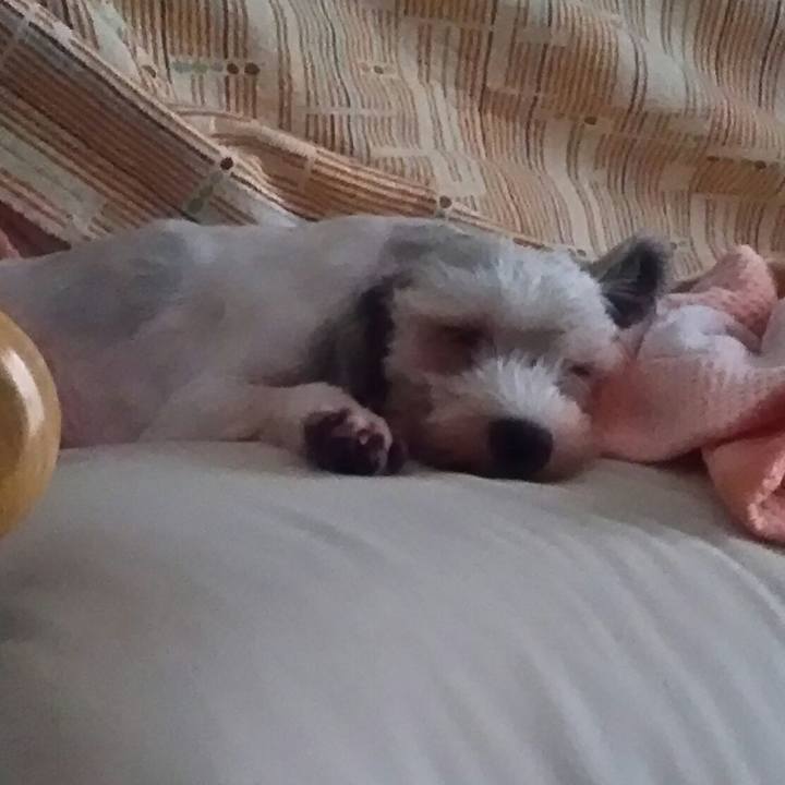 9a9d199d 8832 469e 866a 827653f2a308