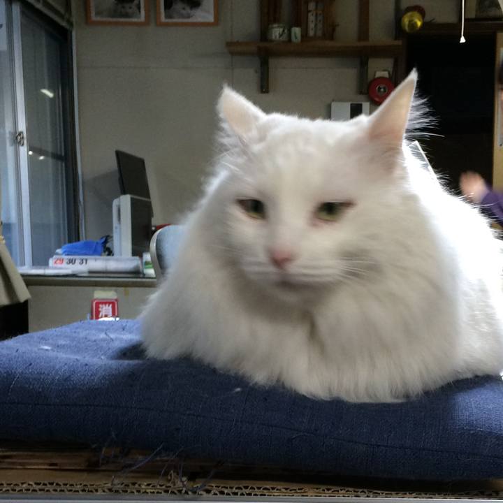 9a9d1b6a 24dd 4a5f b8b5 22d3b973d400