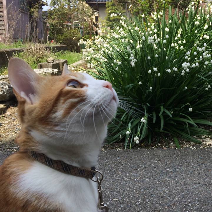 9a9d5101 a754 4832 a997 34887d8c68fd