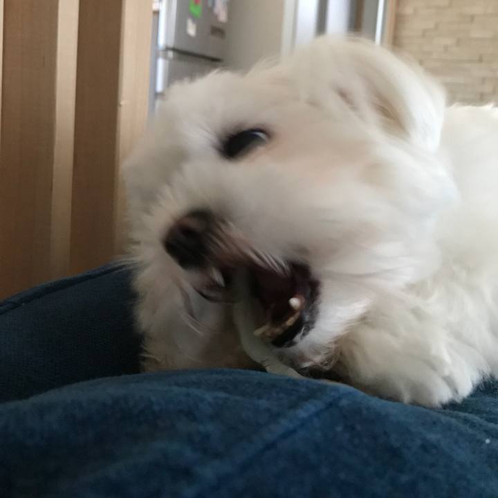 9a9db64d 5fda 4166 b399 8af7729da5a9