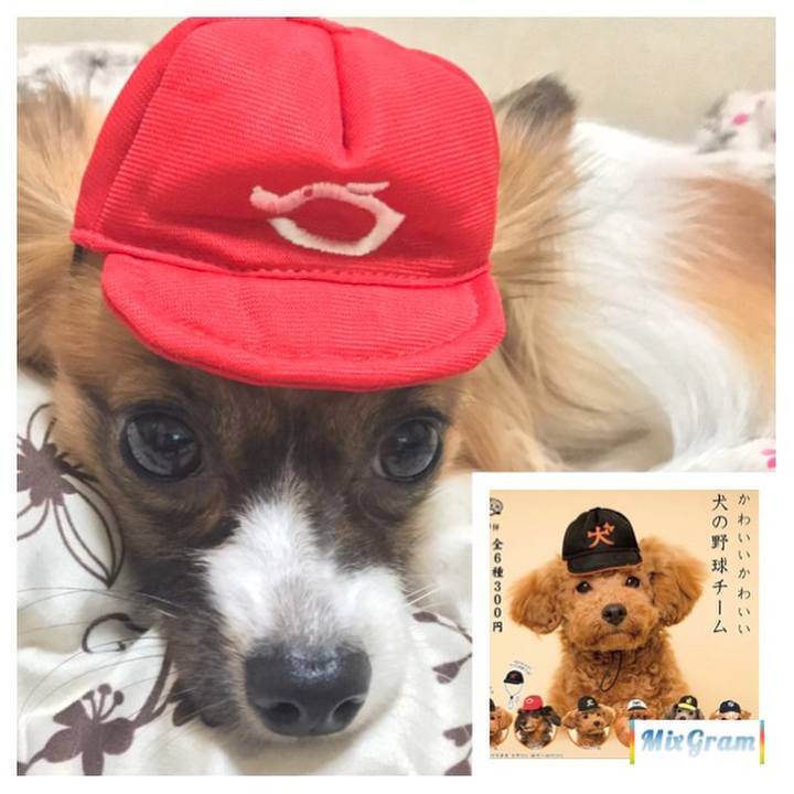 9a9dcc4b 7922 4374 b5cd 9107e2cf552d