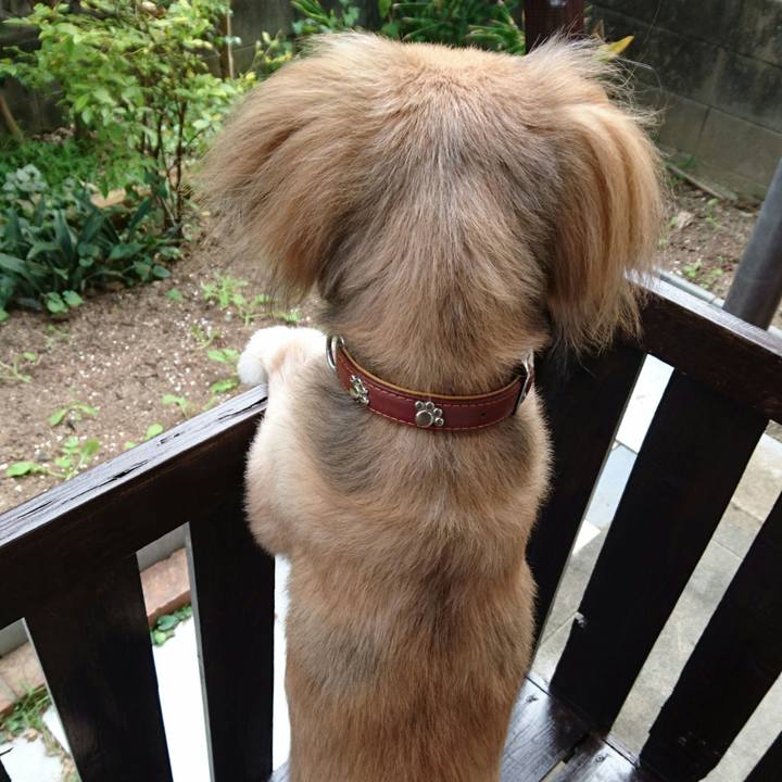 9a9deb3e a0e5 488e 97ce 6454c09de532