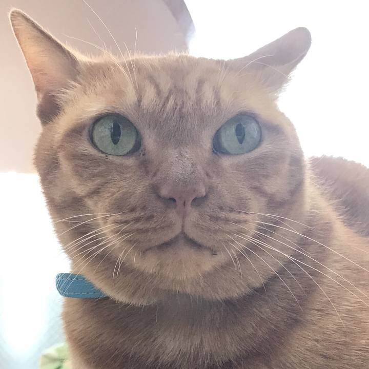 9a9e95e7 3177 4a1f a853 3ec6d68926c8