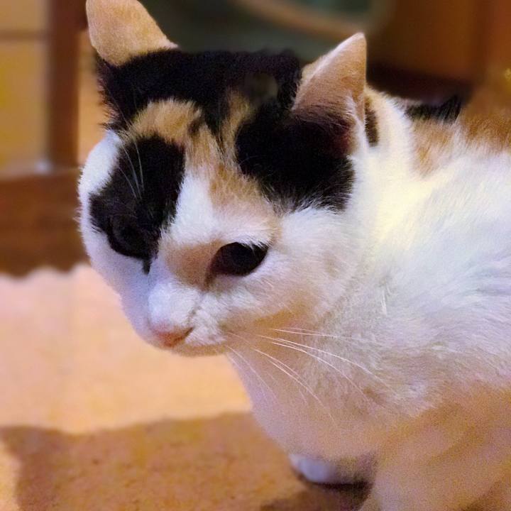 9a9f87bd 36da 4935 8e34 f68bf0843268