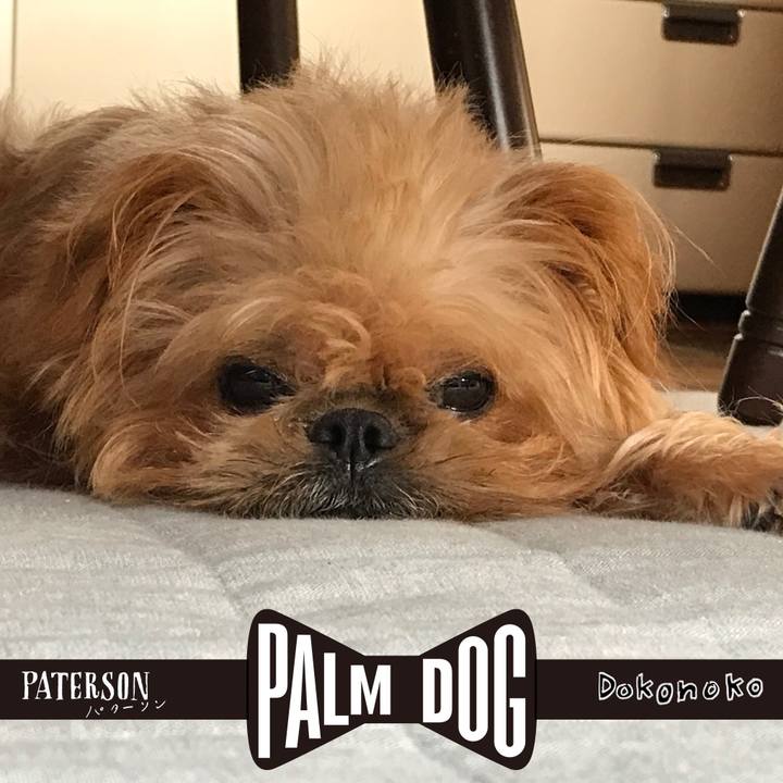 9aa0146c 2bd3 4616 b5cf 849a641e65dd