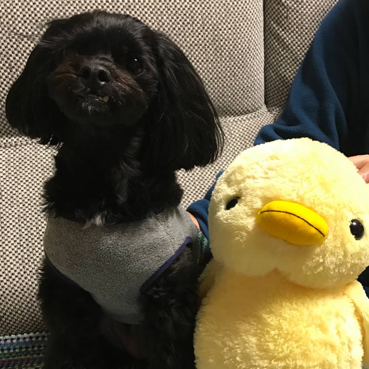 9aa063d7 f30e 4c47 8d2f 24d87fa840e2