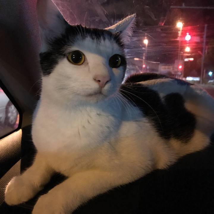 9aa0a703 1d11 48f7 bf7e 2370e7dc112d