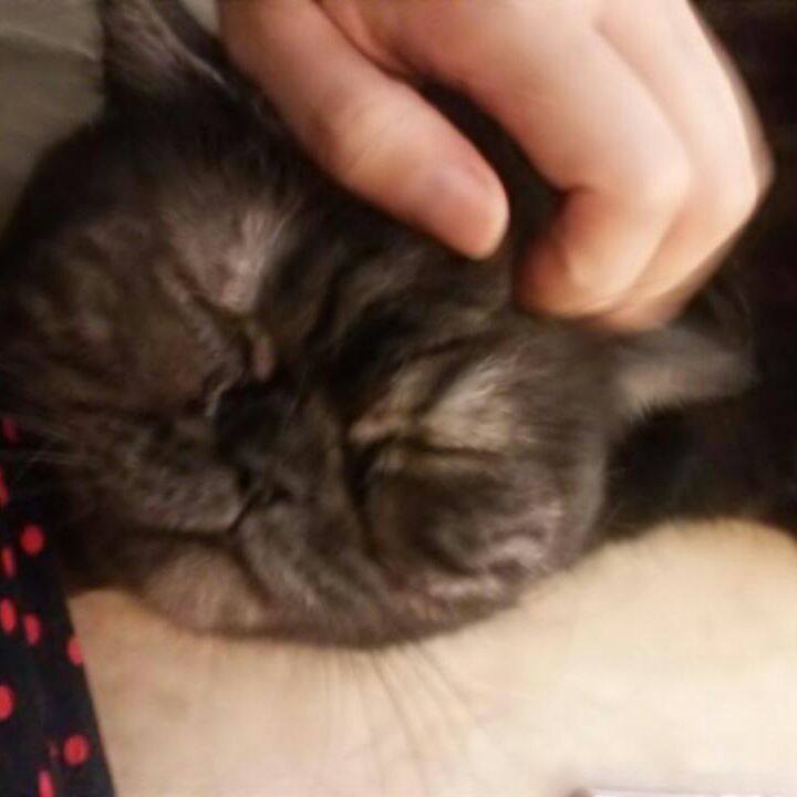 9aa0c209 4bde 4860 b41f 7e30e2f705d8