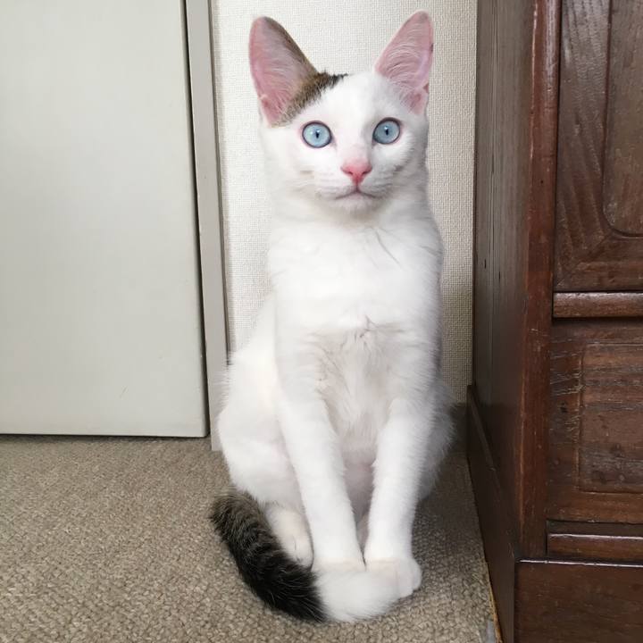 9aa1224a 91bf 4e25 9a0c 730c35c12436