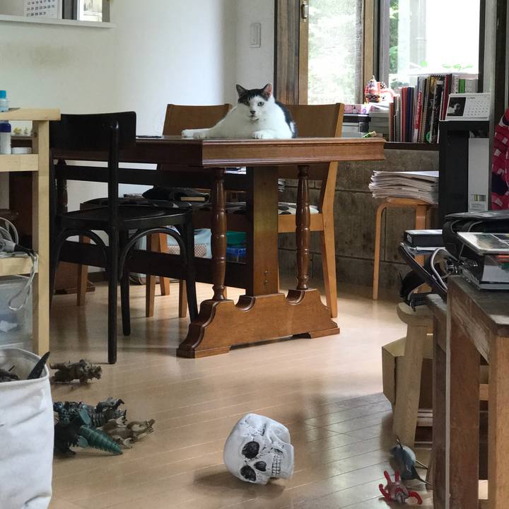 9aa12ec1 76ab 4bae bace f72136bb349a