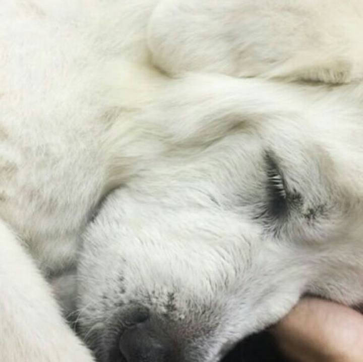 9aa16fbf e634 4e1a 9a6d 51a1745c420c