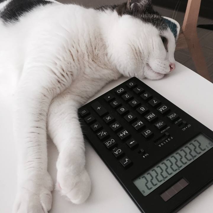 9aa18e31 afa0 4001 b2ce a3f377b86466