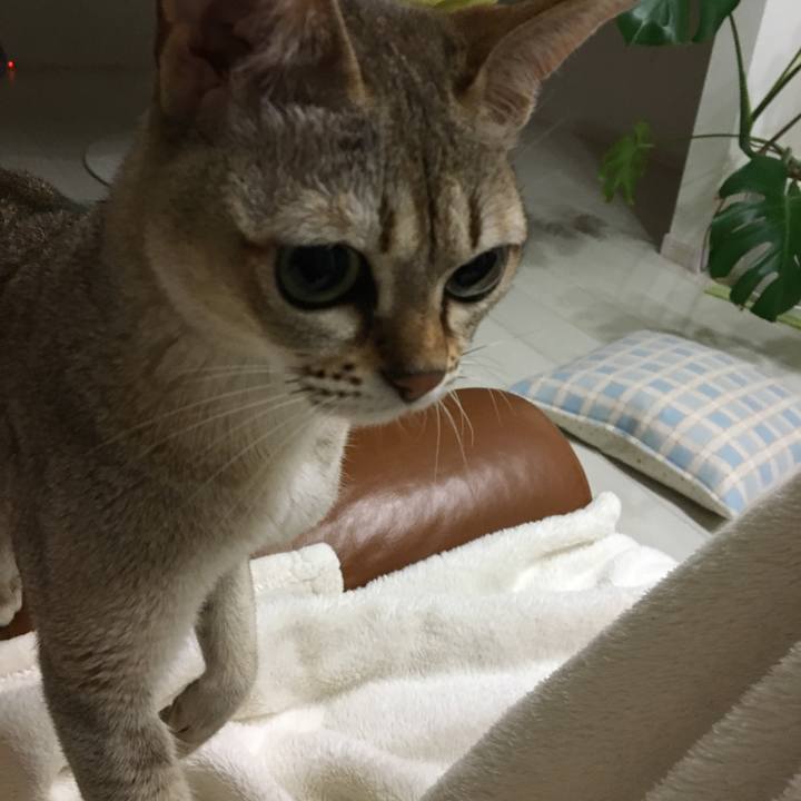 9aa1a283 8158 4a58 bd41 3c538c330e0d