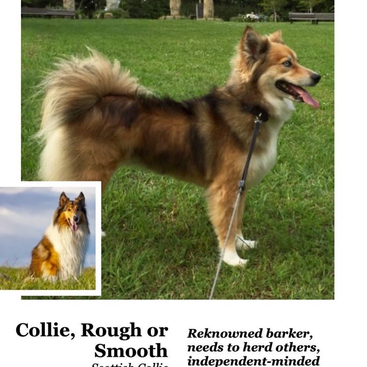 9aa1c5c8 0297 49ce 9673 c0d3eba019b8