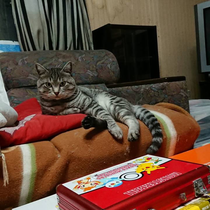 9aa1d97f 246c 45e4 8995 f29d574e4cf5